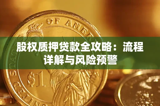武汉股权质押贷款全攻略：流程详解与风险预警