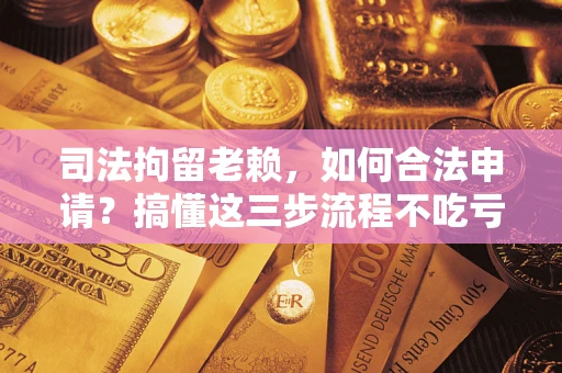 武汉司法拘留老赖，如何合法申请？搞懂这三步流程不吃亏！