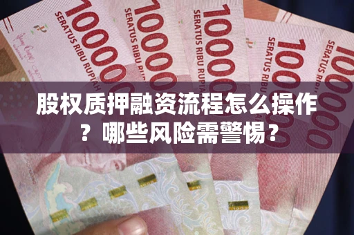 武汉股权质押融资流程怎么操作？哪些风险需警惕？