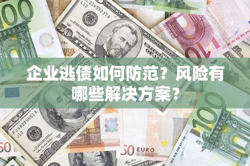 武汉企业逃债如何防范？风险有哪些解决方案？