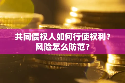 武汉共同债权人如何行使权利？风险怎么防范？