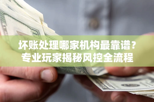 武汉坏账处理哪家机构最靠谱？专业玩家揭秘风控全流程