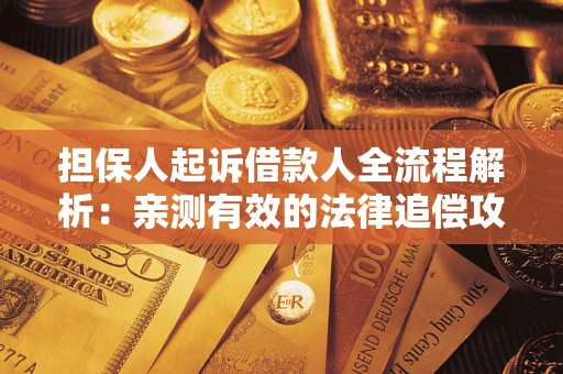 武汉担保人起诉借款人全流程解析：亲测有效的法律追偿攻略