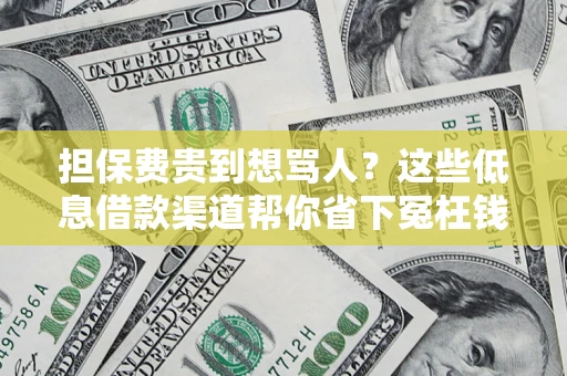 武汉担保费贵到想骂人？这些低息借款渠道帮你省下冤枉钱
