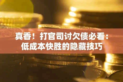 武汉真香！打官司讨欠债必看：低成本快胜的隐藏技巧