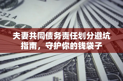武汉夫妻共同债务责任划分避坑指南，守护你的钱袋子