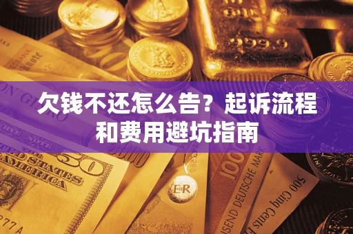 武汉欠钱不还怎么告？起诉流程和费用避坑指南