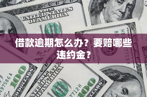 武汉借款逾期怎么办？要赔哪些违约金？