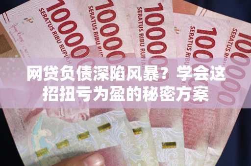 武汉网贷负债深陷风暴？学会这招扭亏为盈的秘密方案